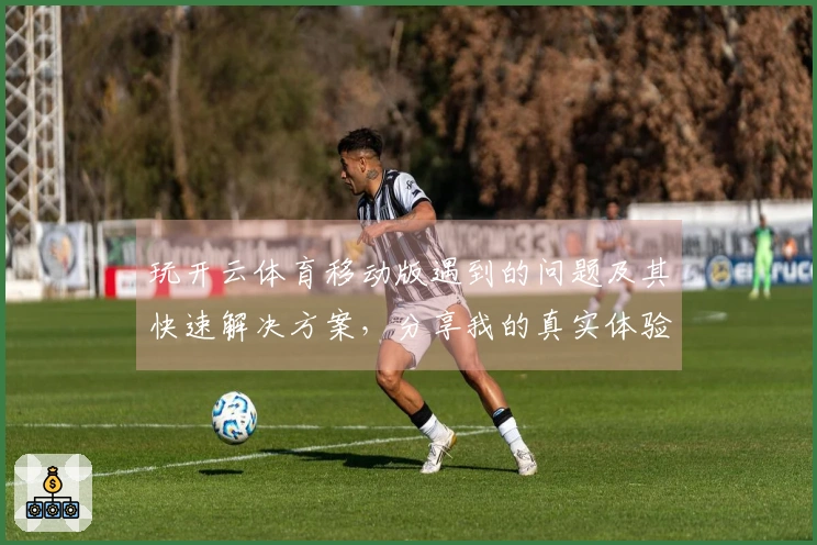 玩开云体育移动版遇到的问题及其快速解决方案，分享我的真实体验与建议