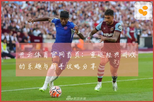 开云体育官网首页：重返经典游戏的乐趣与新手攻略分享