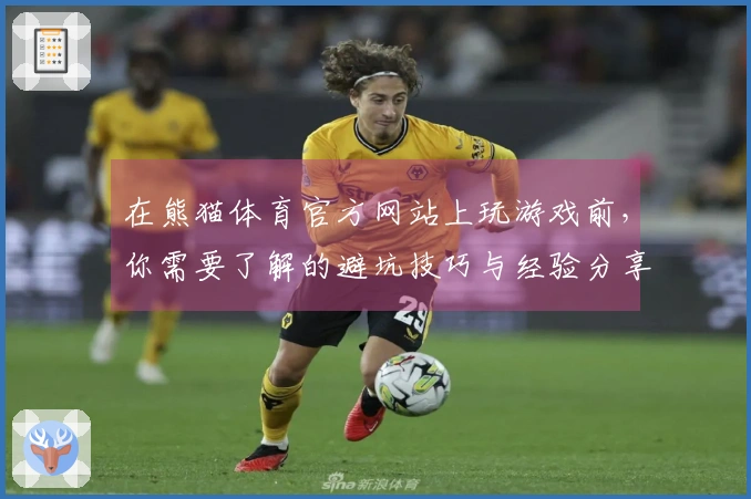 在熊猫体育官方网站上玩游戏前，你需要了解的避坑技巧与经验分享